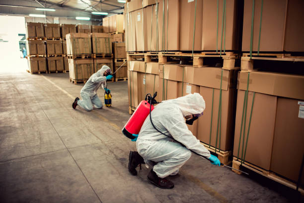 Pest Control Cost in Timberwood Park, TX