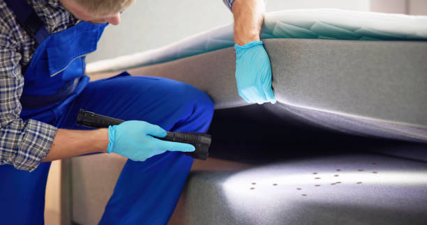Best Local Pest Control Services  in Timberwood Park, TX